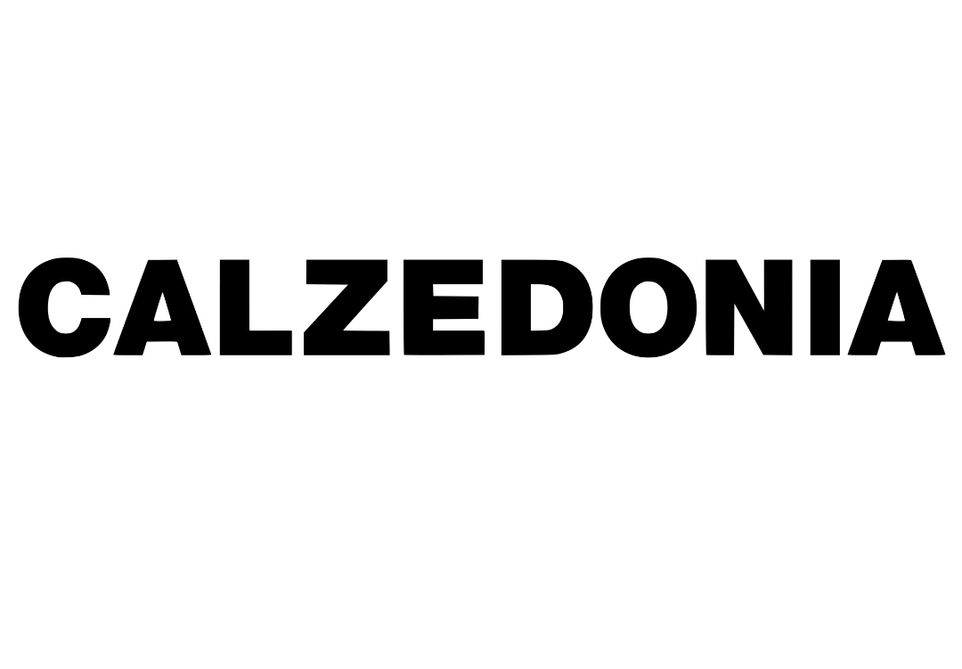 Diseño sin título - 2025-01-12T202805.619